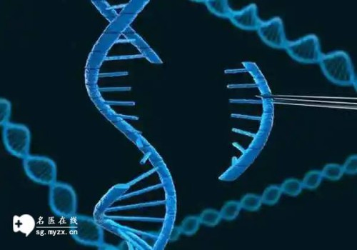东莞私人医院的实验室一流，为试管婴儿提供科学解决方案