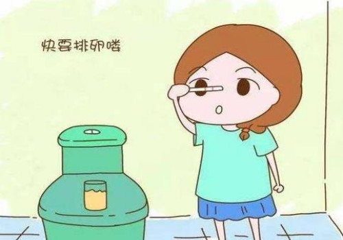 杭州正规助孕机构：盘点夫妻染色体异常胚胎染色体正常的原因，看完你就知道了